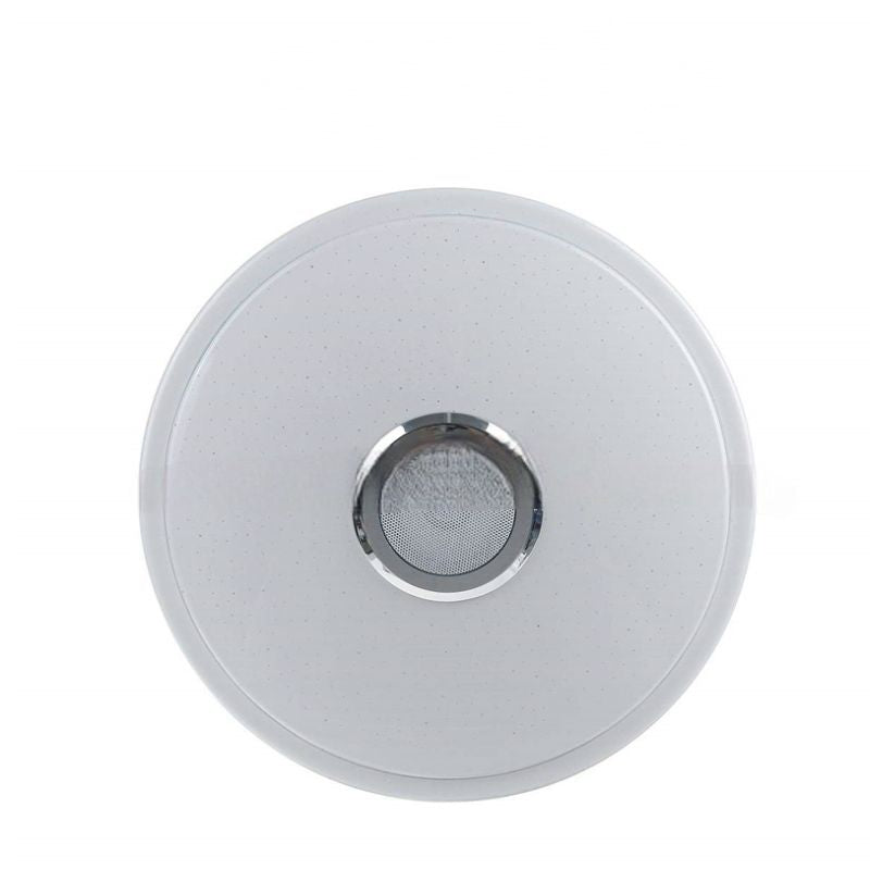 Smart Ceiling Light for your home
