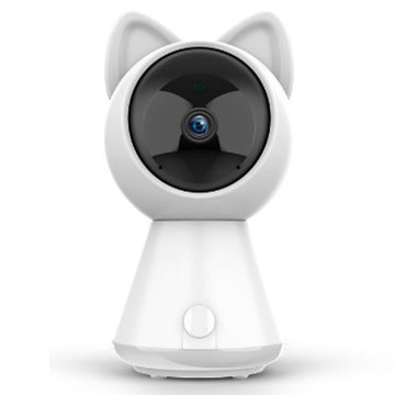 Wireless 1080P Security Camera