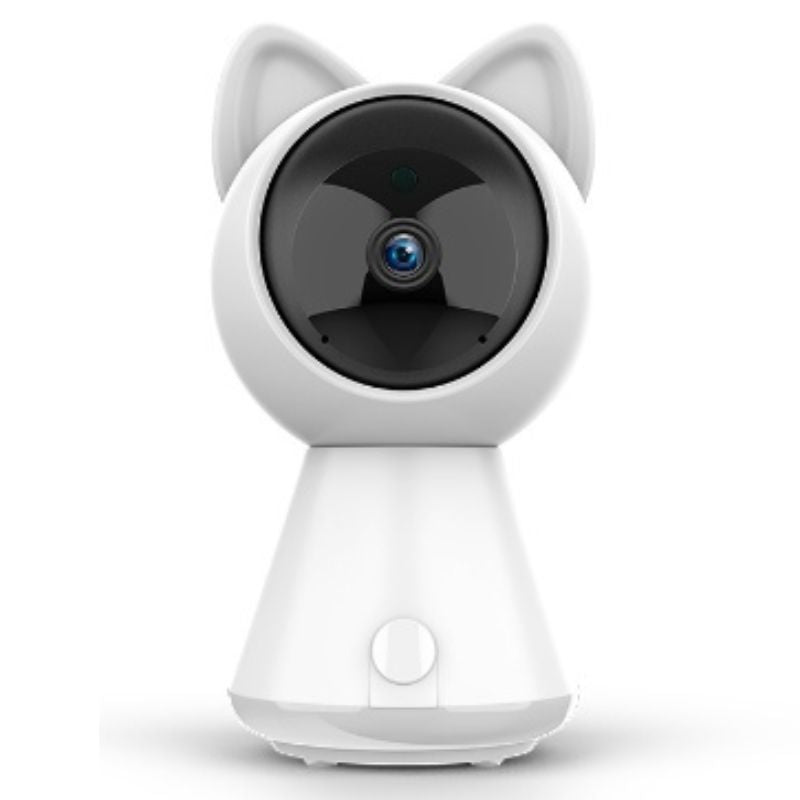 Wireless 1080P Security Camera